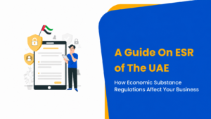 Economic Substance Regulations UAE | Klay Consultants